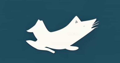 Economy Class Cathay Pacific