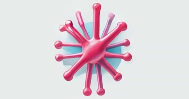 Enterococcus Faecalis Biochemical Test