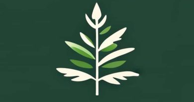 Evergreen Leanne And Naara