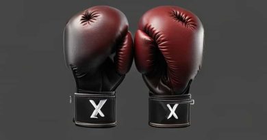 Everlast Mx Sparring Gloves