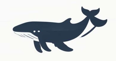 Exclusive Alaskan Whale Discovery