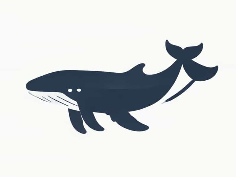 Exclusive Alaskan Whale Discovery