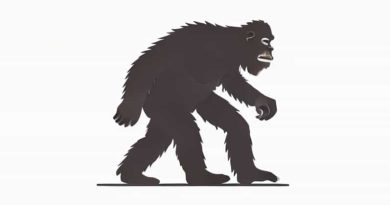 Expedition X Alaskan Sasquatch