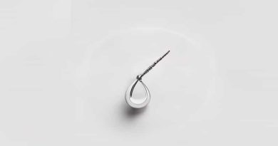 Fake Dangle Nose Ring