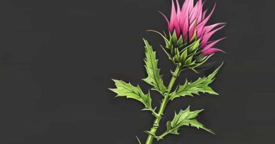 Fallout 76 Thistle Location