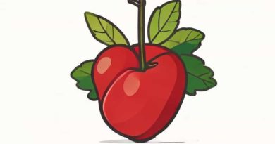 Favaito Moscatel Do Douro