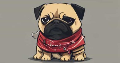 Ffxiv Pugilist Guild Location