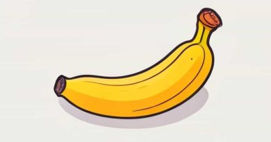 Fila Manila Banana Ketchup