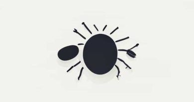 Flea And Tick Preventative