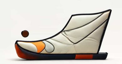 Free Motion Quilting Foot