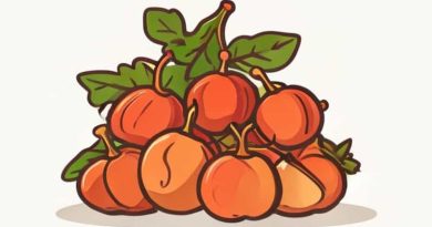 Fresh Market Chestnut Hill