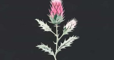 Frost Thistle Fae Farm