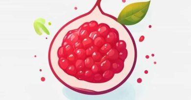 Frozen Passion Fruit Pulp