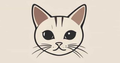 Funny Hairless Cat Names