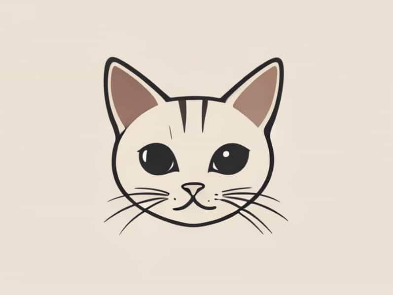 Funny Hairless Cat Names