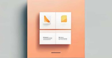 Gallery Publication Possibly Providing