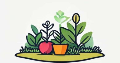 Garden Definition In Horticulture