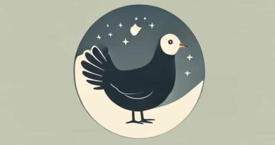 Garderie Poussin De Lune