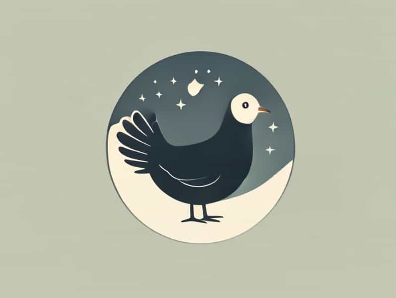 Garderie Poussin De Lune