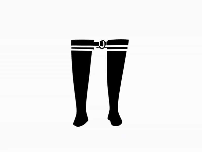 Garter Belts And Nylons