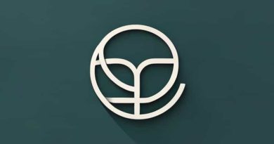 Gema Herrerias Funcion Barrera