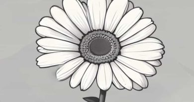 Gerber Extensive Ha Discontinued