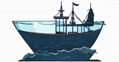 Glass Bottom Shipwreck Tours