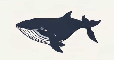 Glo The Polyphonic Whale