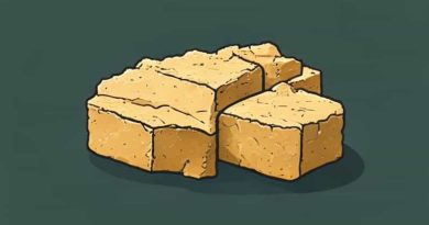 Google What Is Hardtack