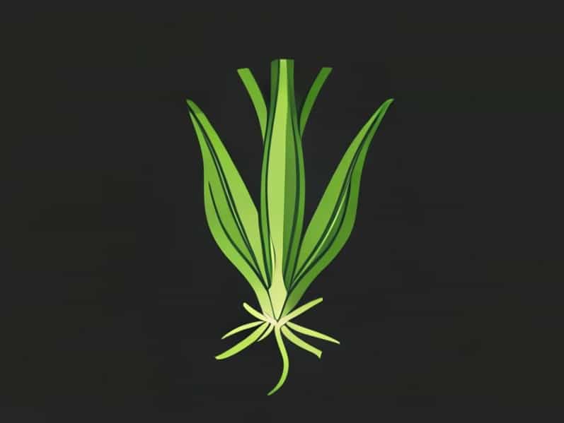 Green Onion Razzle Dazzle