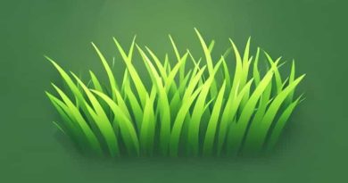 Greens Blend Amazing Grass