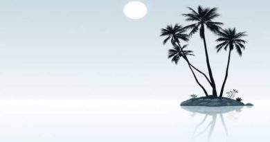 Oasis Of Serenity Meaning