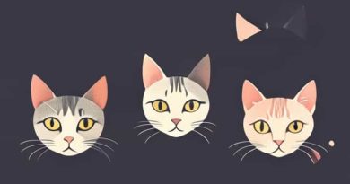 Pictures Of Hairless Cats