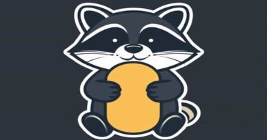 Raccoon Dog Toy Squeaker