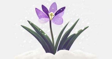 Rdr1 Violet Snowdrop Location