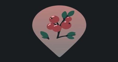 Rdr2 Wintergreen Berry Location