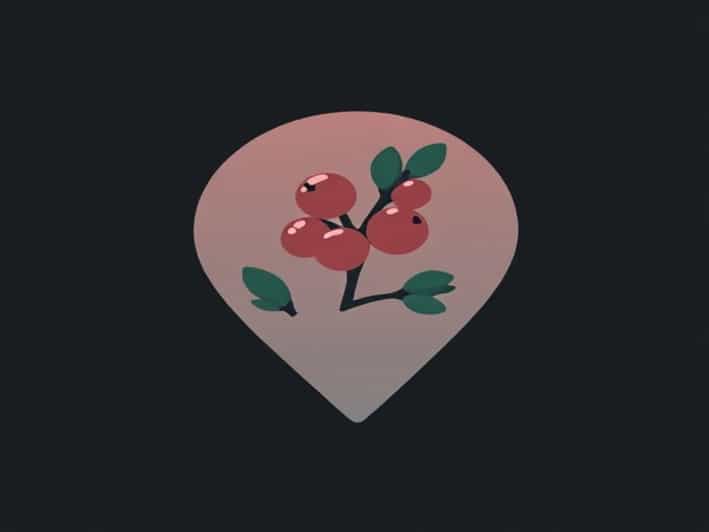 Rdr2 Wintergreen Berry Location