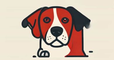 Reddit Dogs Are Disgusting