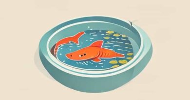 Romantic Fishpond In Marathi