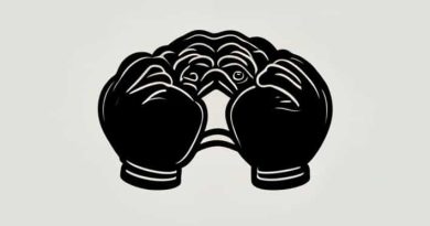 Seraphic Pugilist Gloves Location