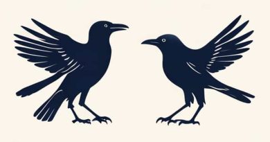 Texans Ravens Pregame Altercation