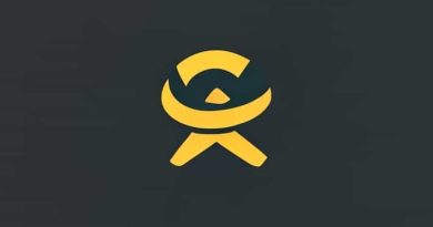 The Definition Of Adversary