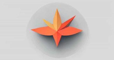 The Definition Of Blunt