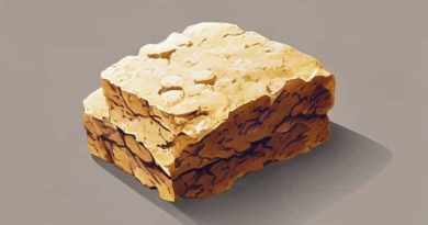 The Definition Of Hardtack