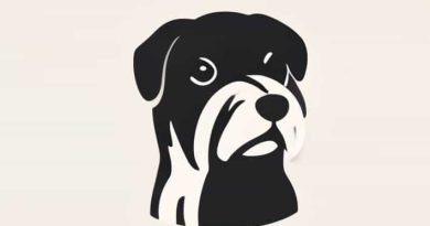 The Least Shedding Dogs