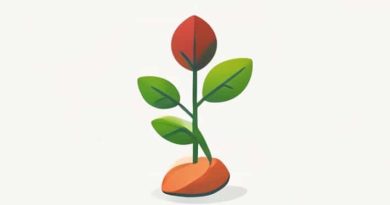 The Meaning Of Microcosm