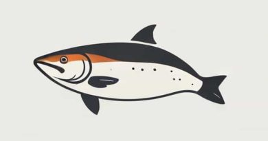 Are Coho Salmon Wild