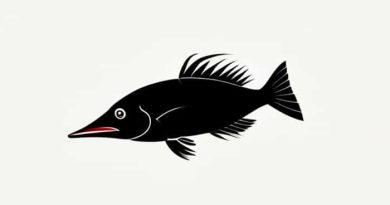 Are Spoonbill Catfish Endangered