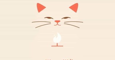 Average Cost To Cremate A Cat