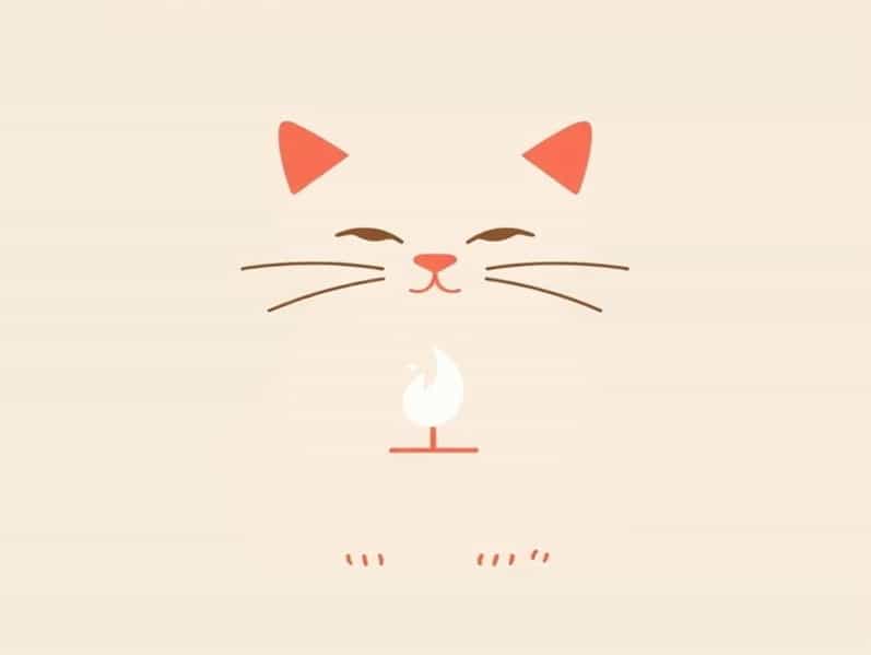 Average Cost To Cremate A Cat